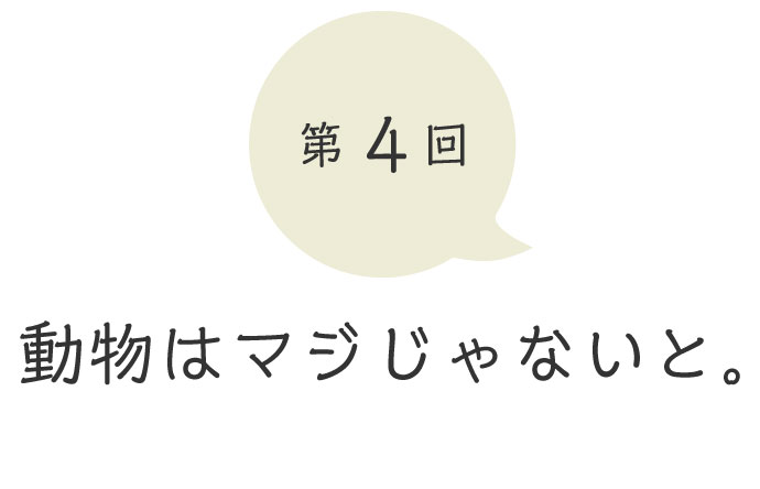 第４回 動物はマジじゃないと。