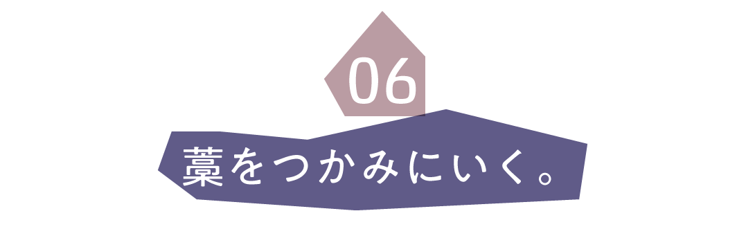 第6回 藁をつかみにいく。