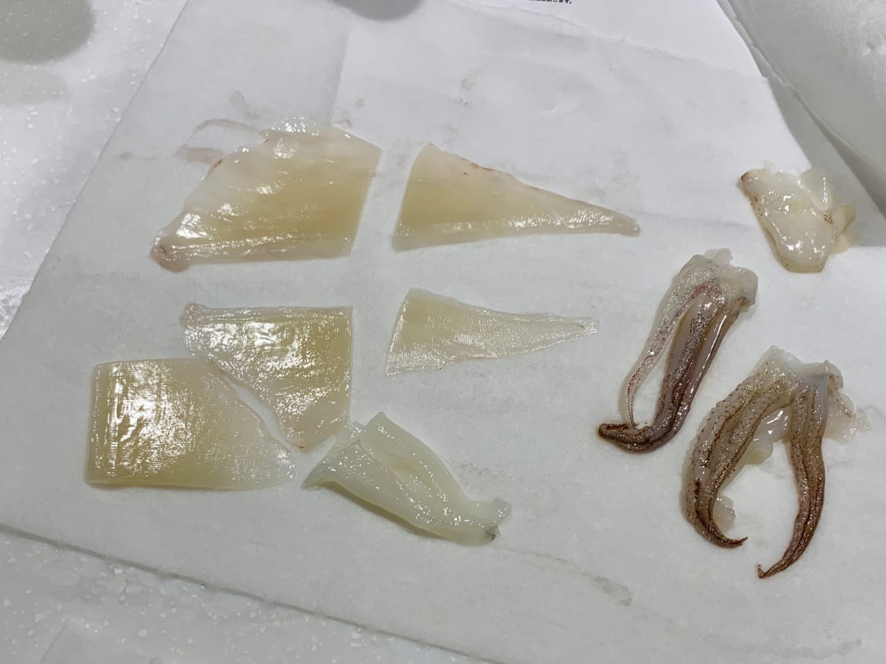 ▲きれいに下ごしらえされた、いか。