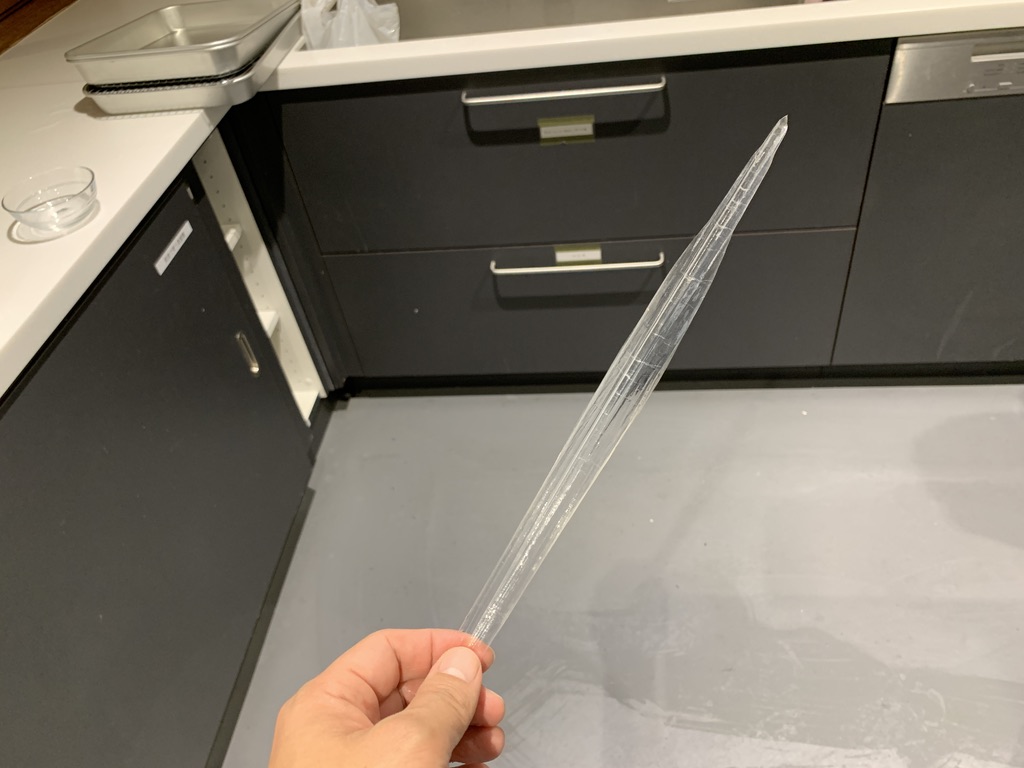 ▲さようなら、いか記念。