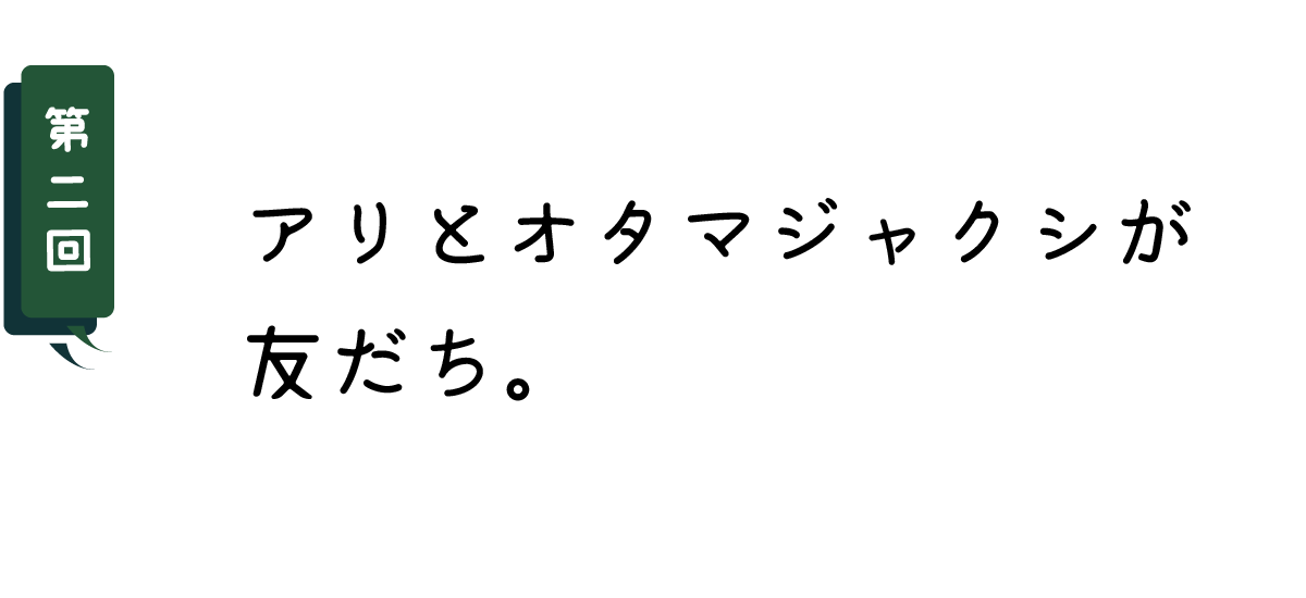 第２回 アリとオタマジャクシが友だち。