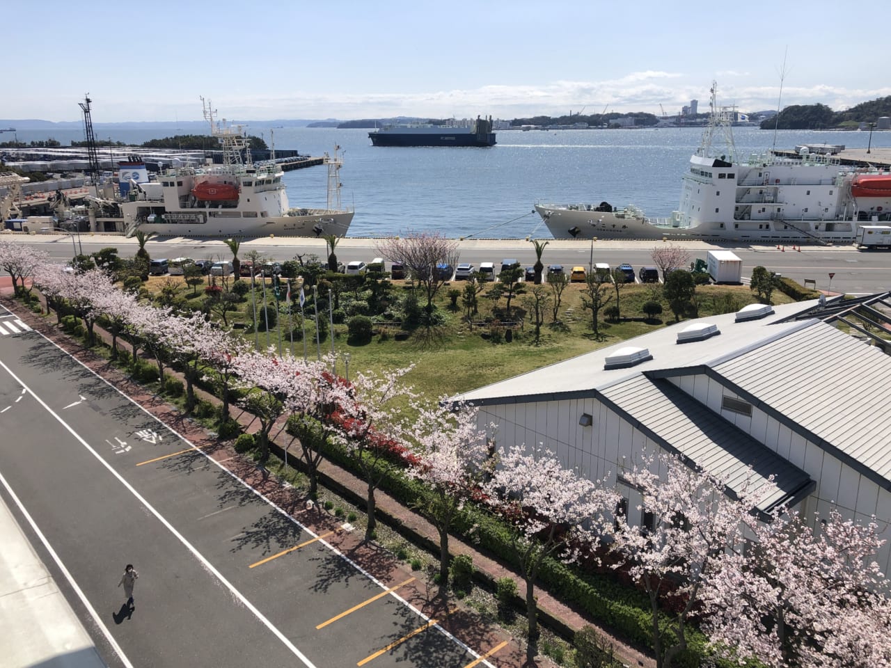 桜が咲く頃から緊急停船中の調査船。