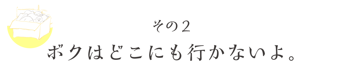 次ページイメージ