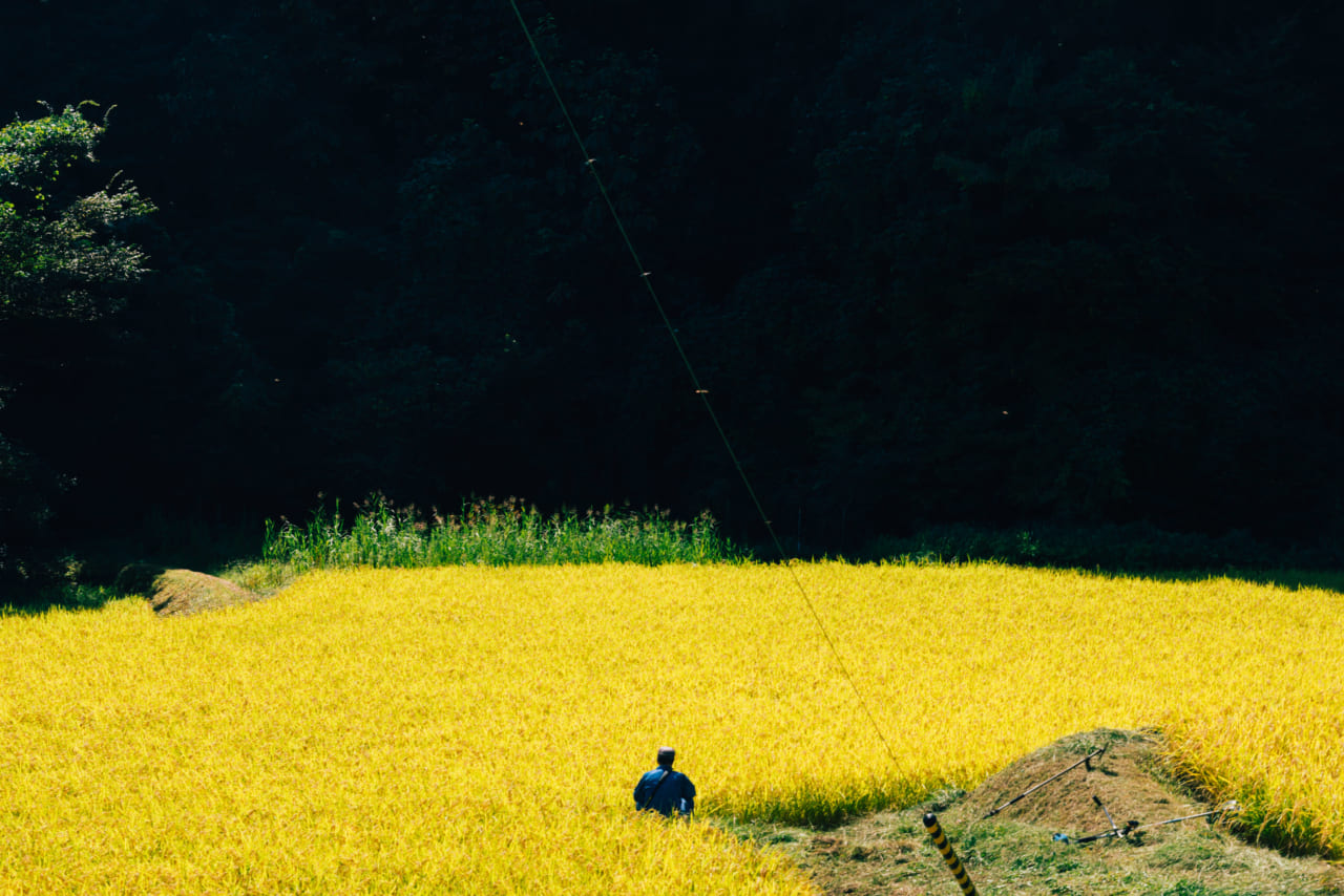 かつおさんが撮影された福島県伊達市