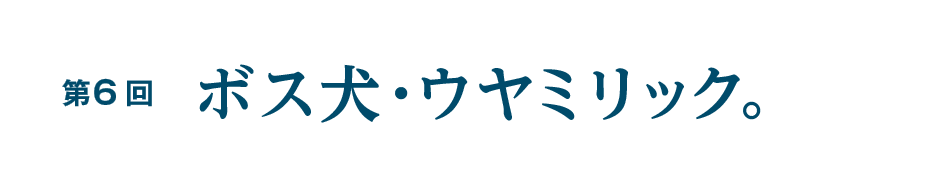 第６回 ボス犬・ウヤミリック。