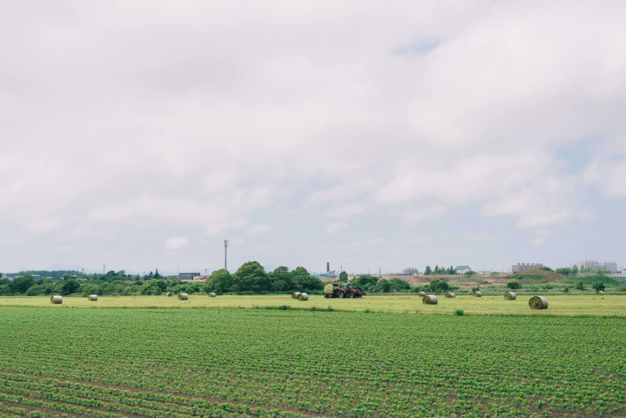 かつおさんが撮影された北海道・北広島市
