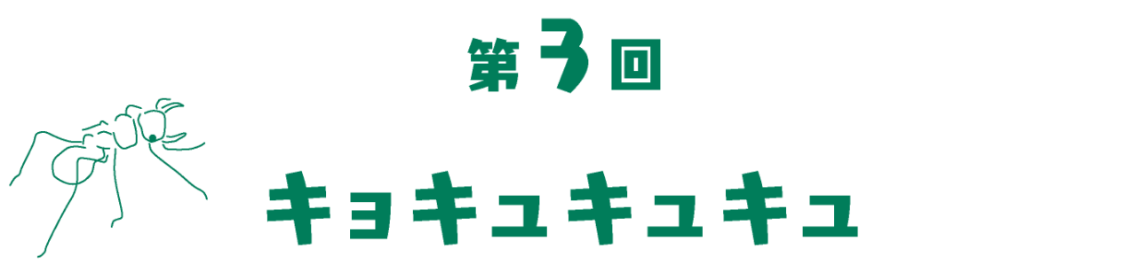 第3回 キョキュキュキュ