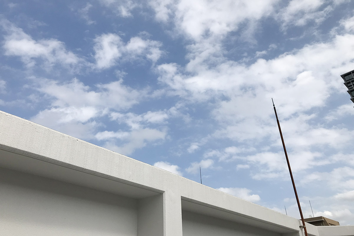 ▲場所によっては、空がきれいに抜けて見えます。