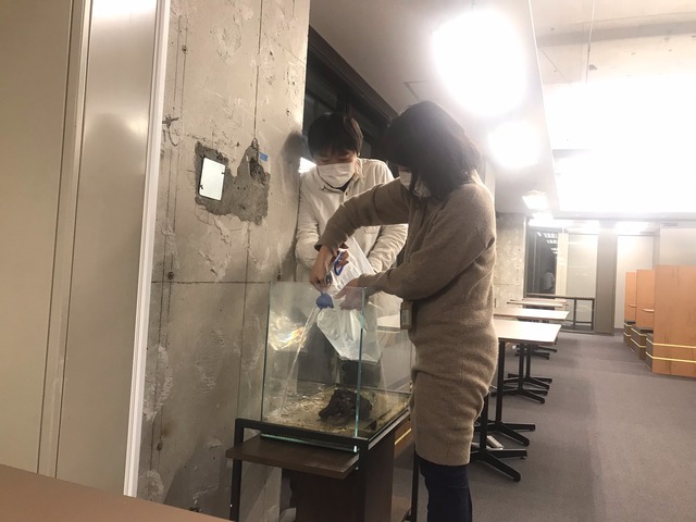 ▲そうそう、フグさんを先に神田へ運んだりもしましたね。