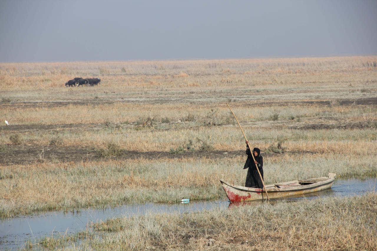 イラクの湿地帯。移動手段は舟のみ