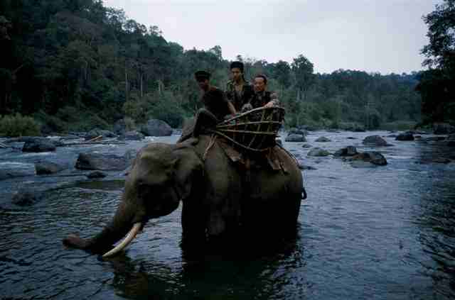 ゾウに乗って川を渡る高野さん。