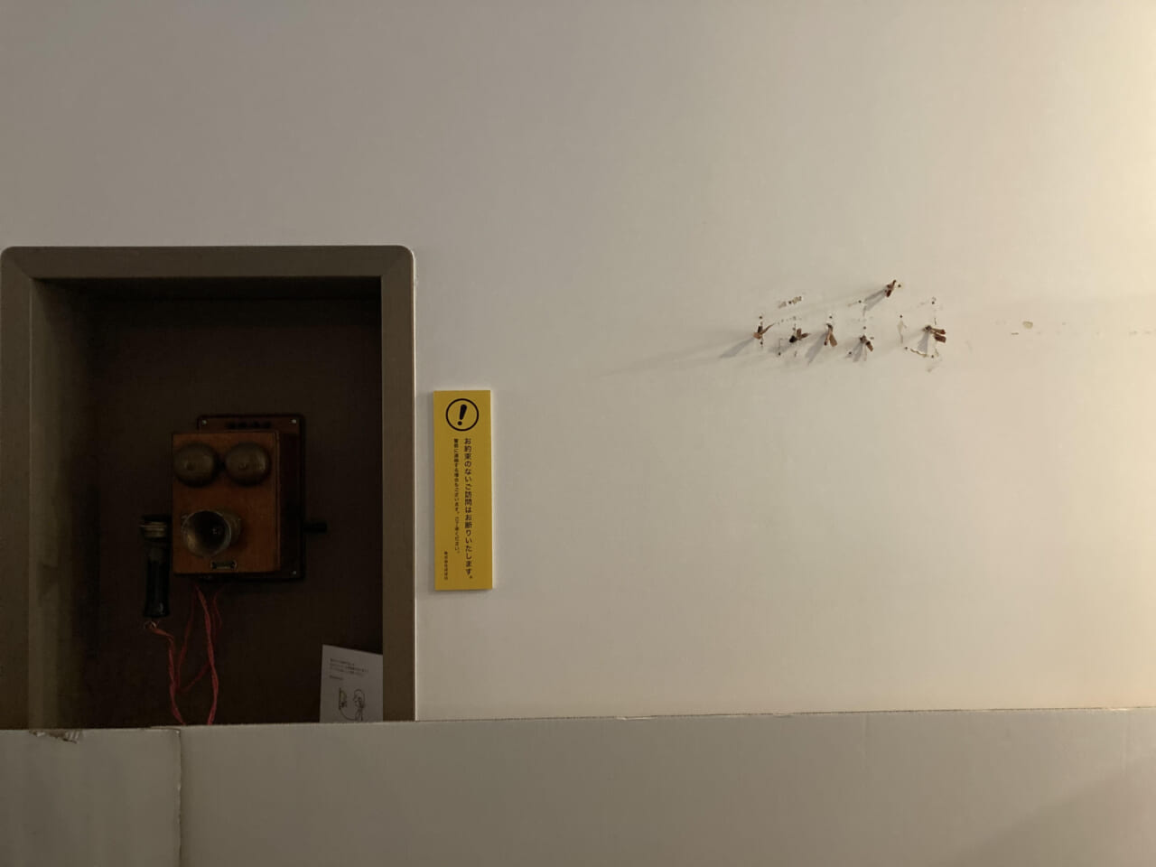 ▲最後は入口前の「ほぼ日」のロゴも外されました。