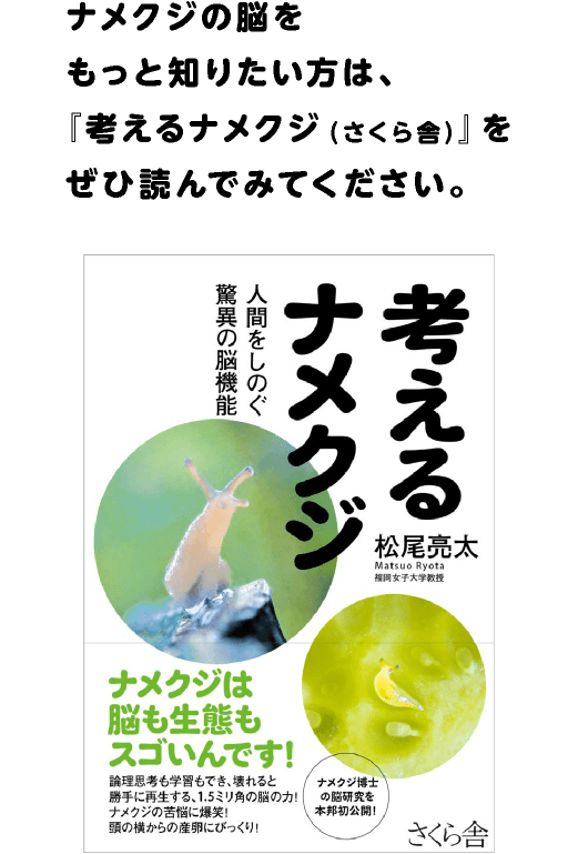 第5回 弱肉強食のナメクジの世界 ナメクジくんにも 悩みはあるのさ 松尾亮太さんインタビュー 松尾亮太 ほぼ日刊イトイ新聞