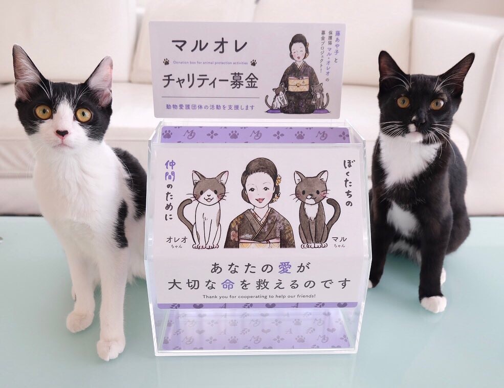 ▲オフィシャルブログ「あや子日記」より