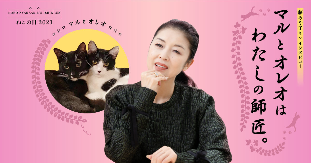 あやねこオーダーページ 4. 奇跡のマルオレ。 | マルとオレオはわたしの師匠。藤あや子さん