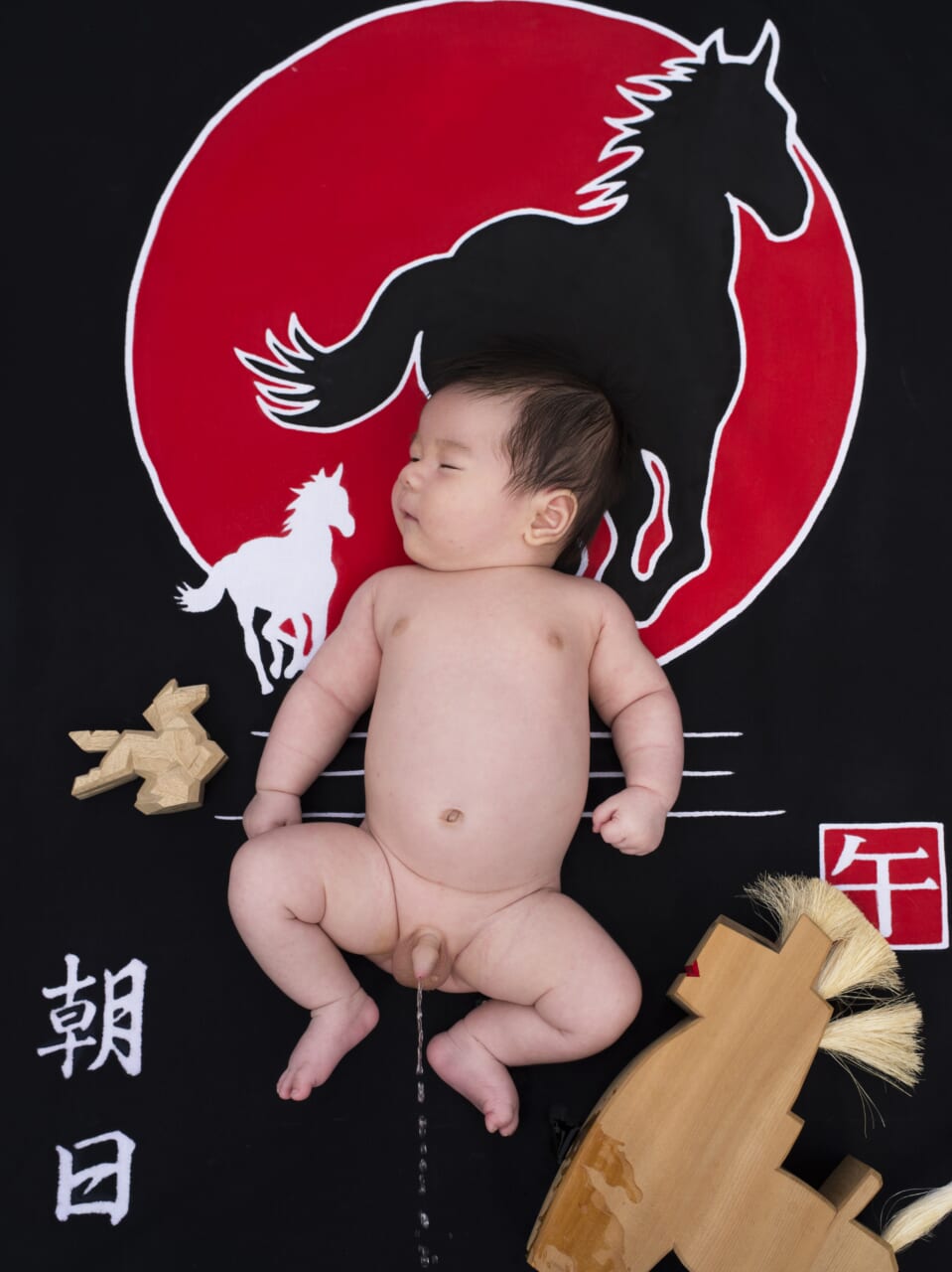 浅田政志『浅田撮影局 まんねん』（青幻舎）より