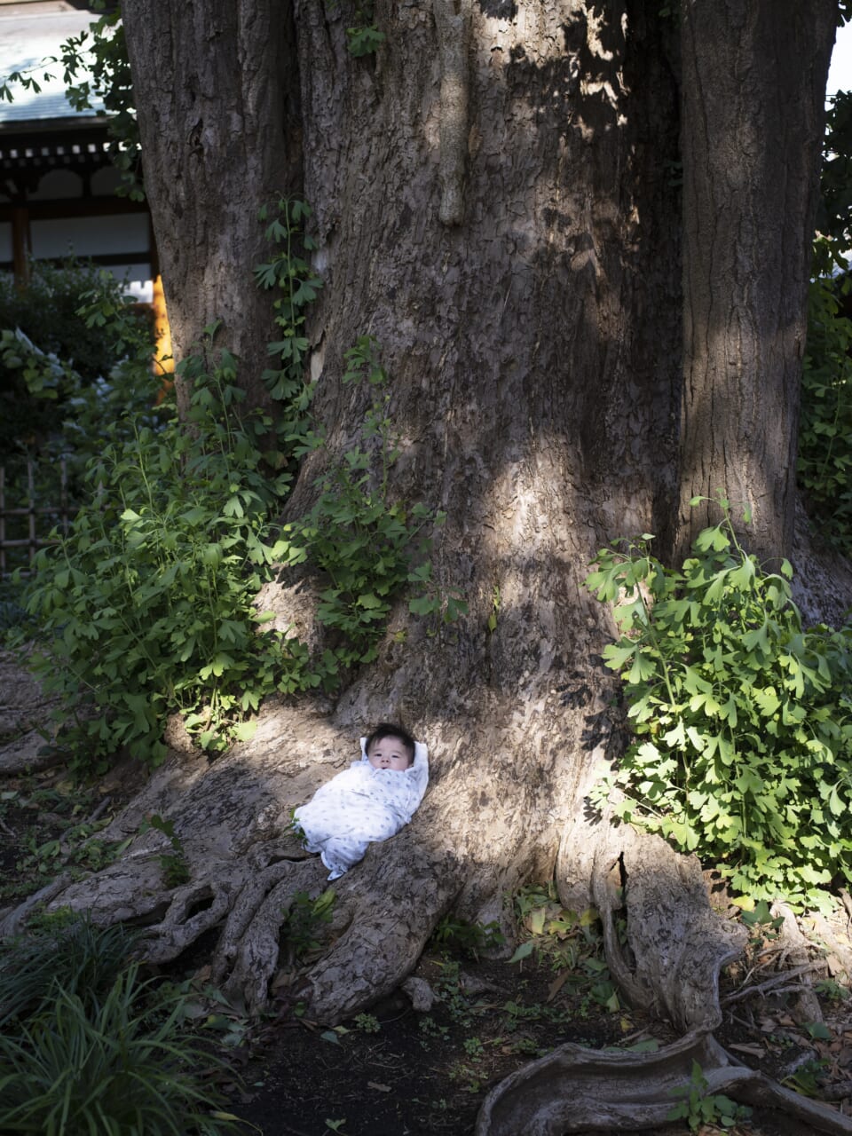 浅田政志『浅田撮影局 まんねん』（青幻舎）より