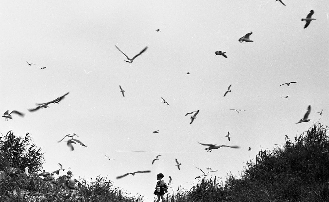 @shoichi_kudo_aomori 