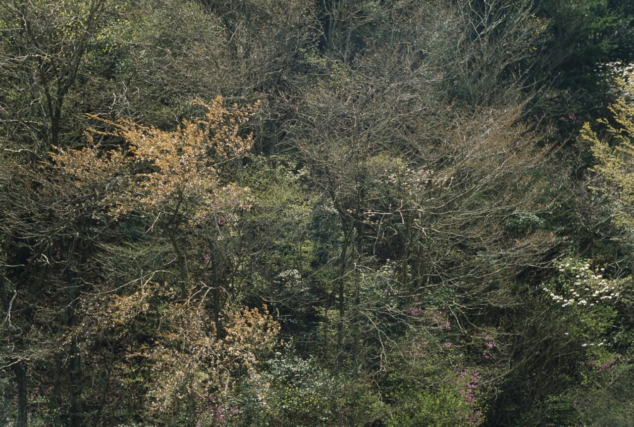 大森克己「encounter」より