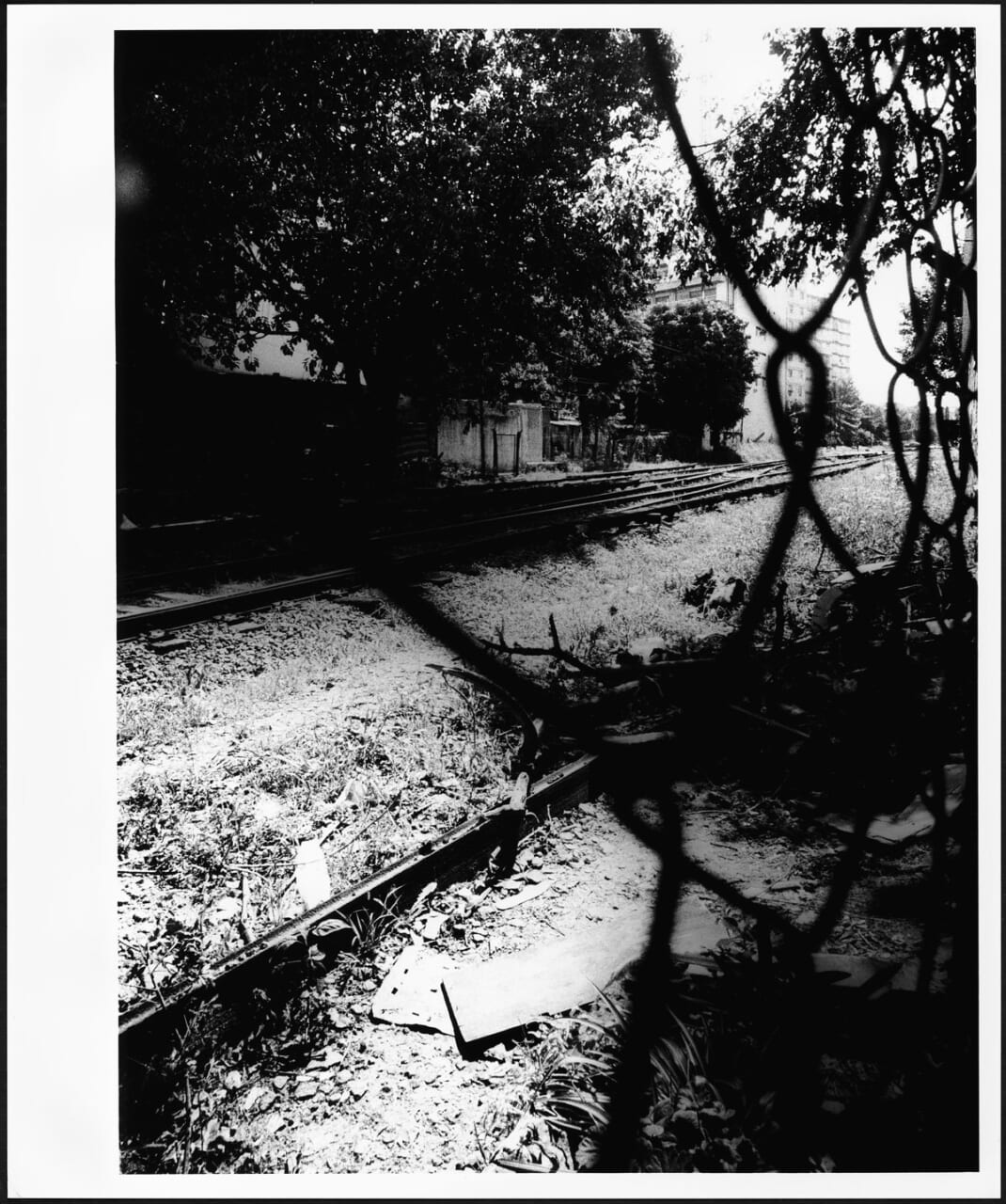 森山大道『BUENOS AIRES』より