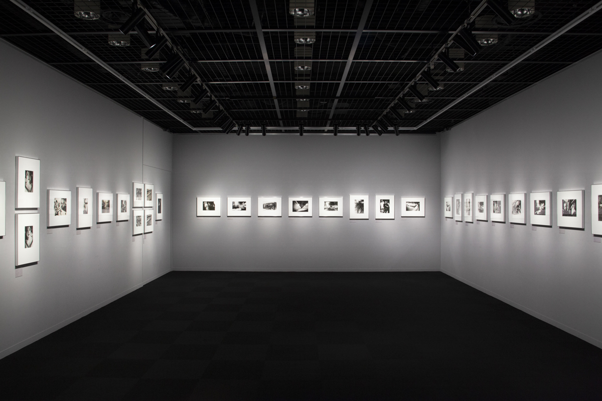 写大ギャラリー 展示風景