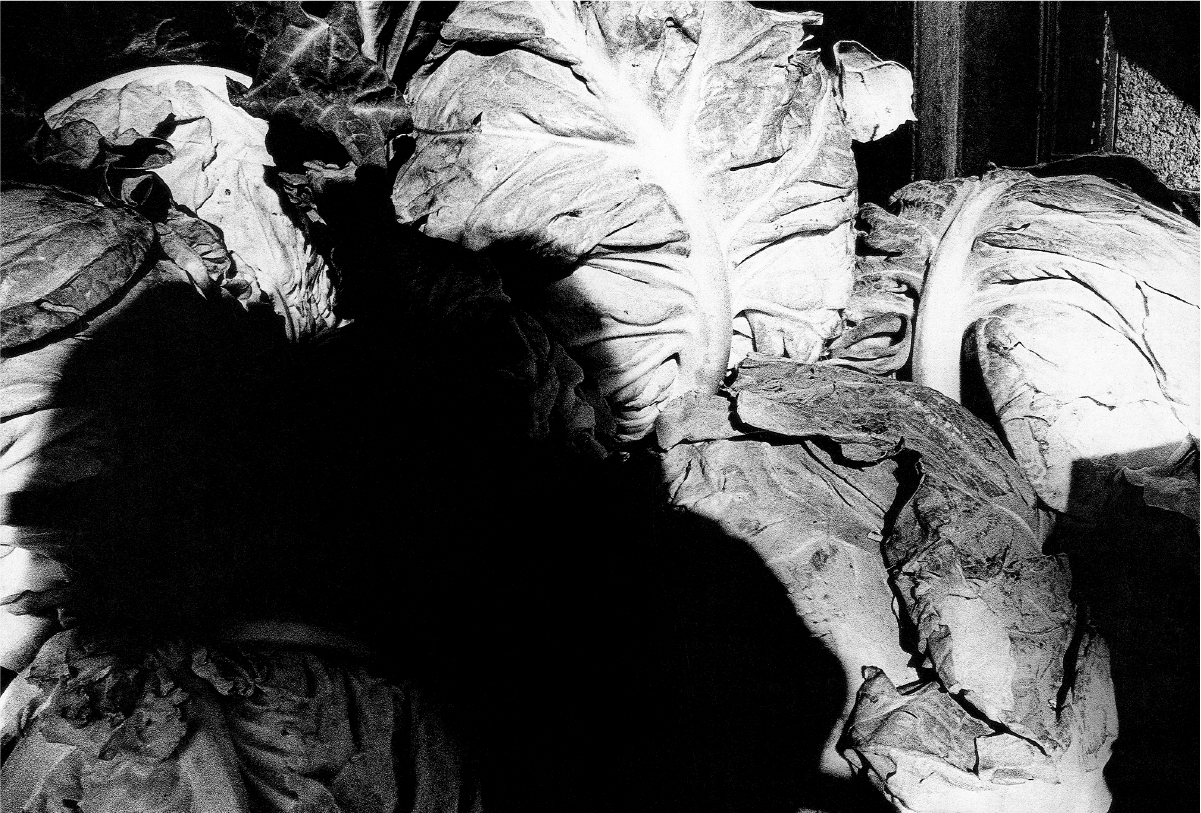 森山大道『光と影』より