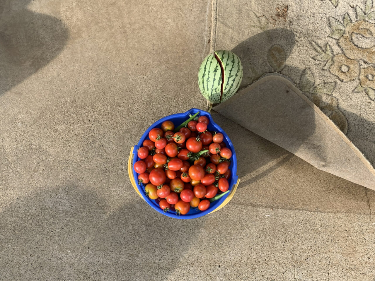 大森克己「#soundsandthings」より