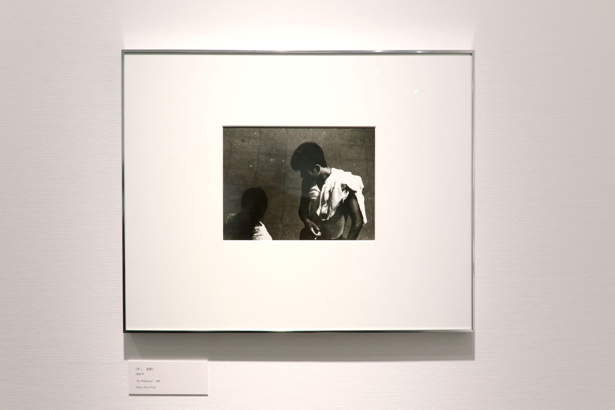 写大ギャラリー 展示風景