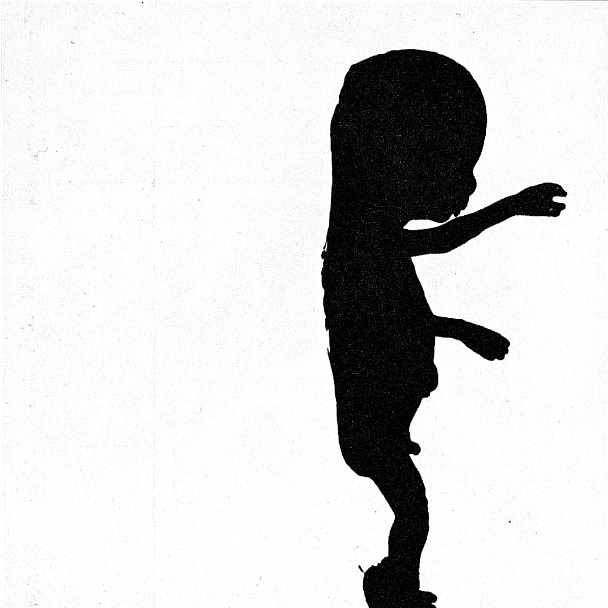 森山大道『にっぽん劇場写真帖』より