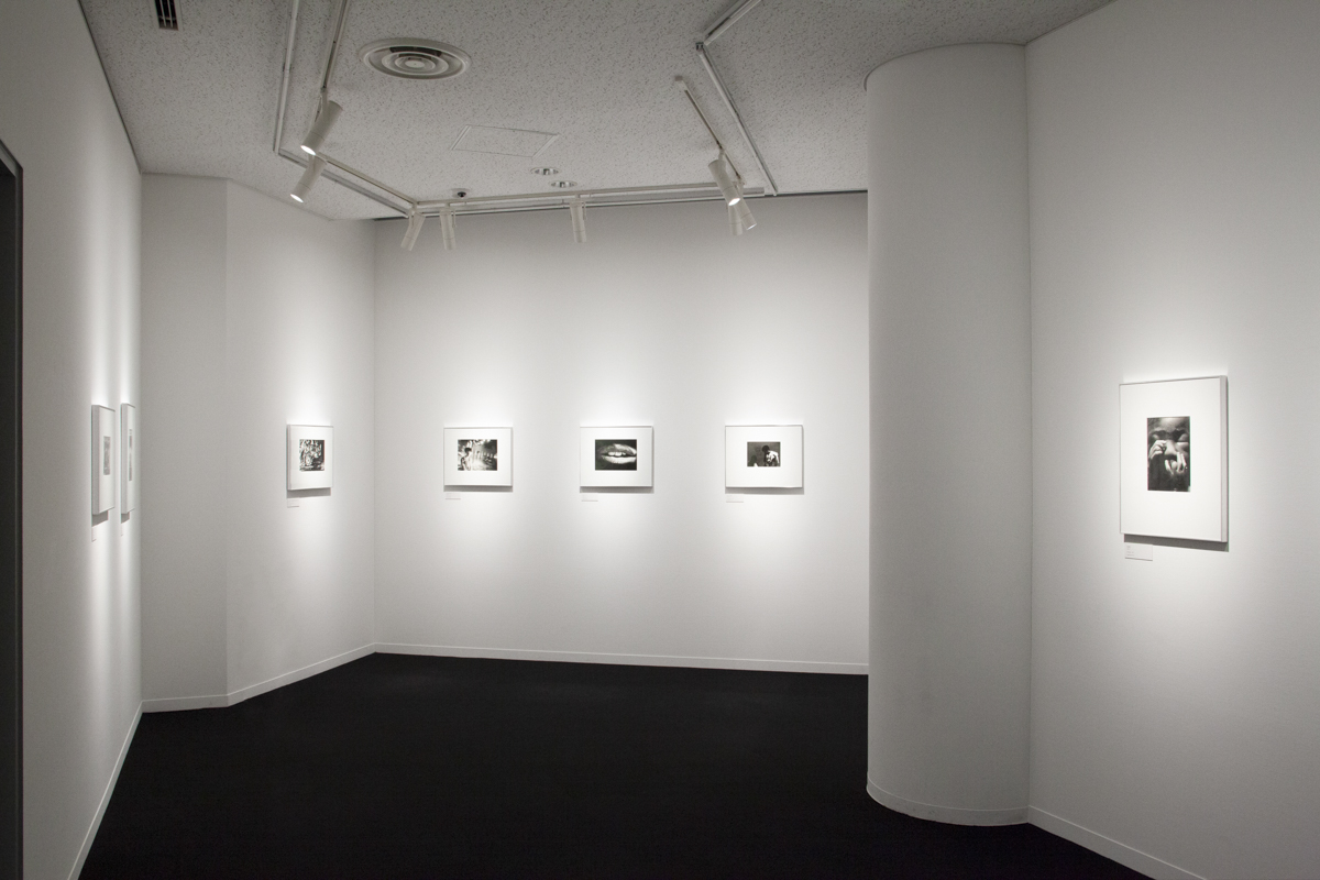 写大ギャラリー 展示風景