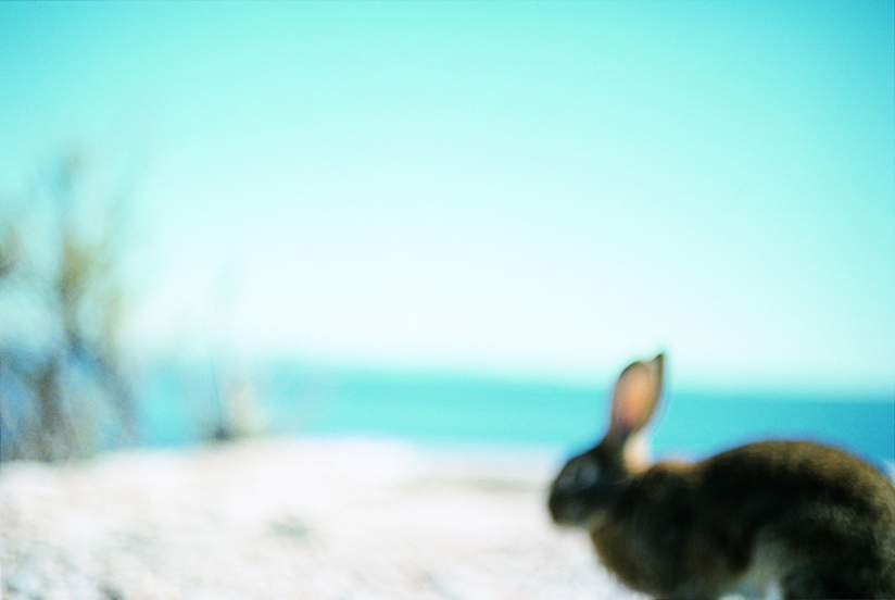 大森克己「Bonjour!」より
