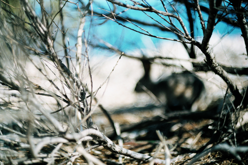 大森克己「Bonjour!」より