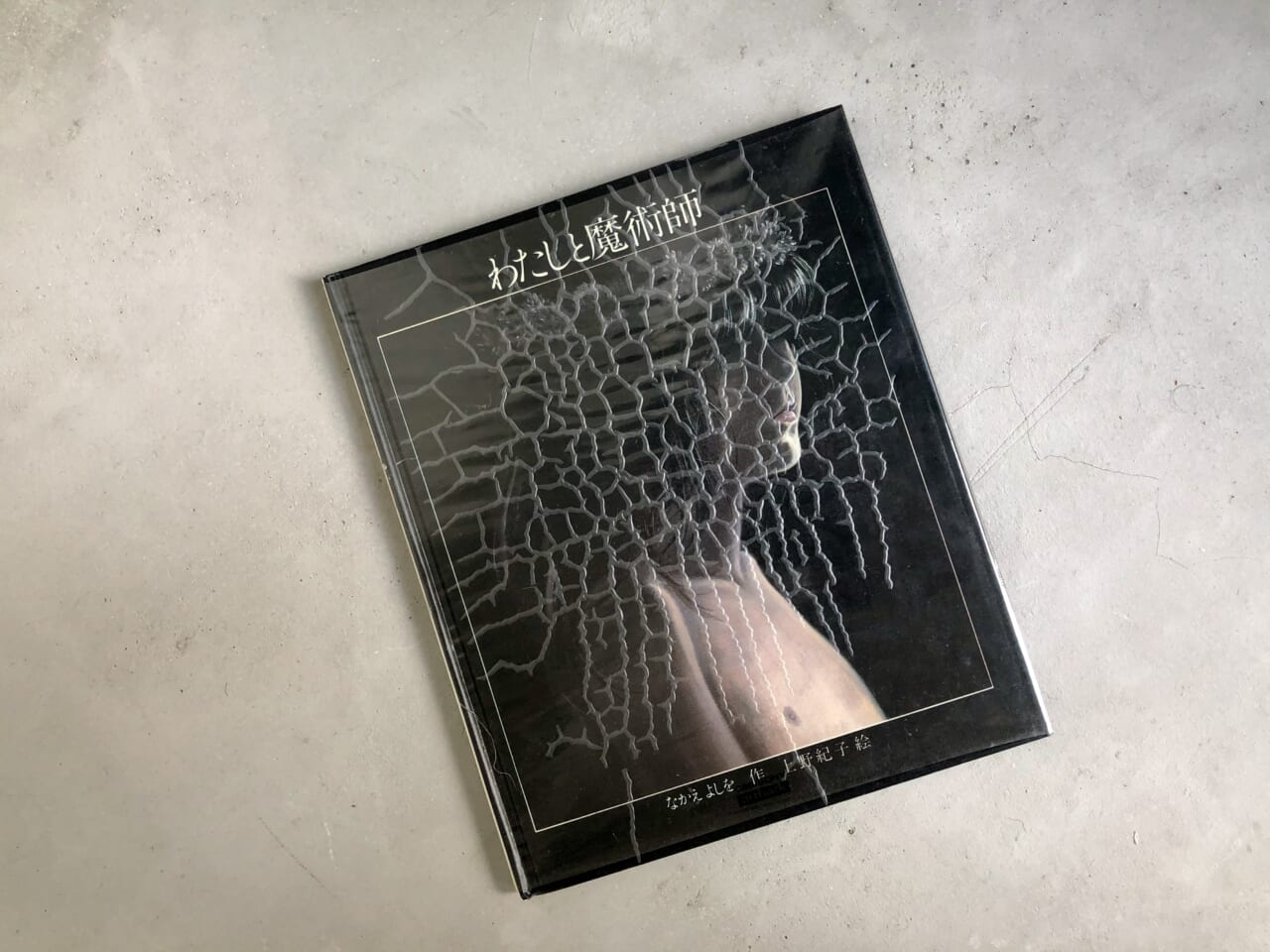 ※ふるい本なので表紙にクモの巣状の気泡が入っています