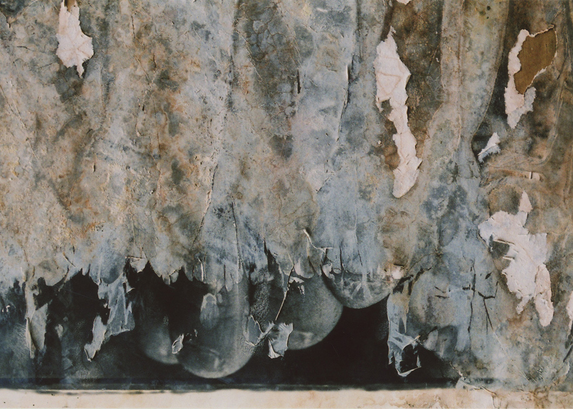 (c)Ishiuchi Miyako「The Drowned#2」