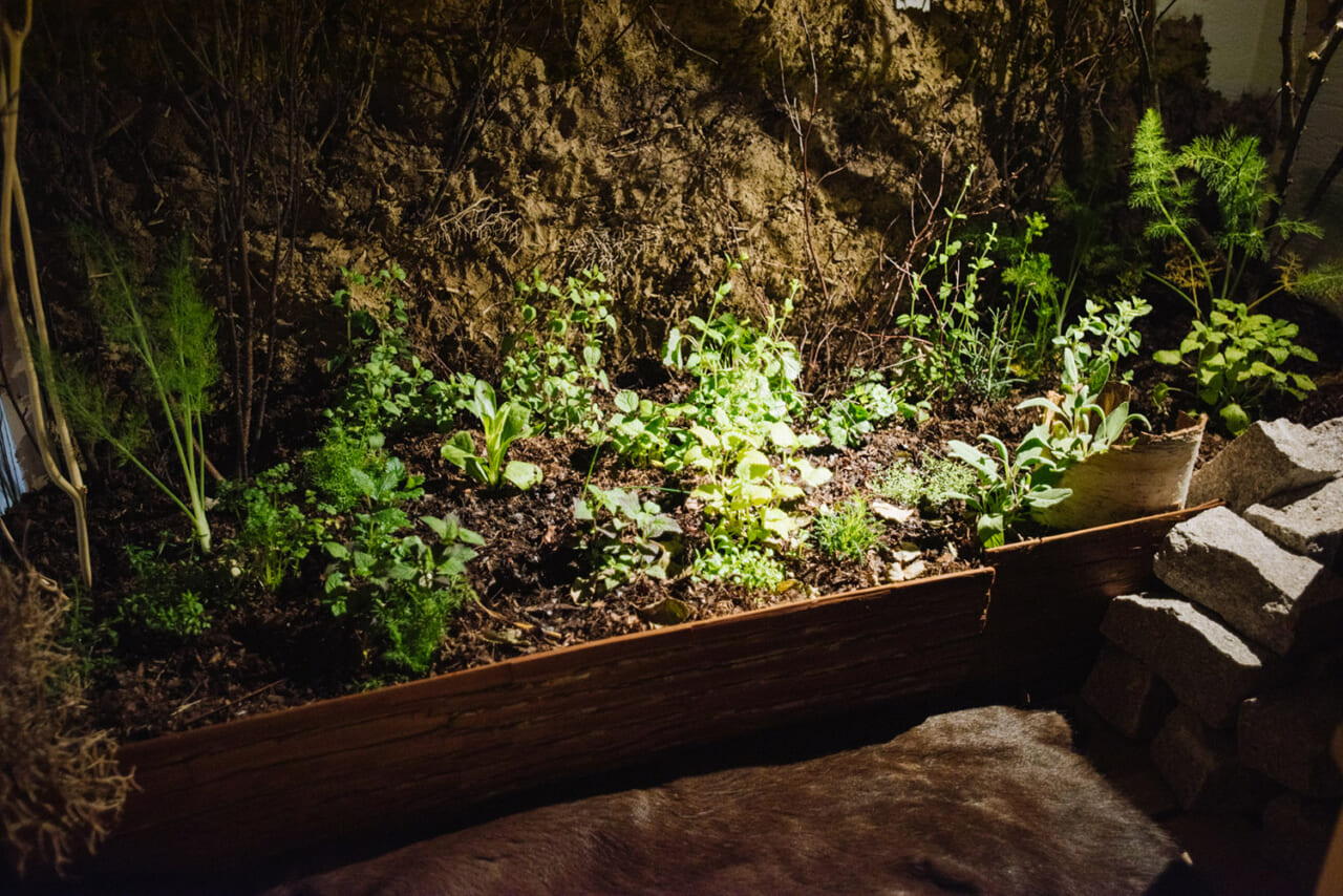 ▲土や植物の香りが漂う内気浴スペース