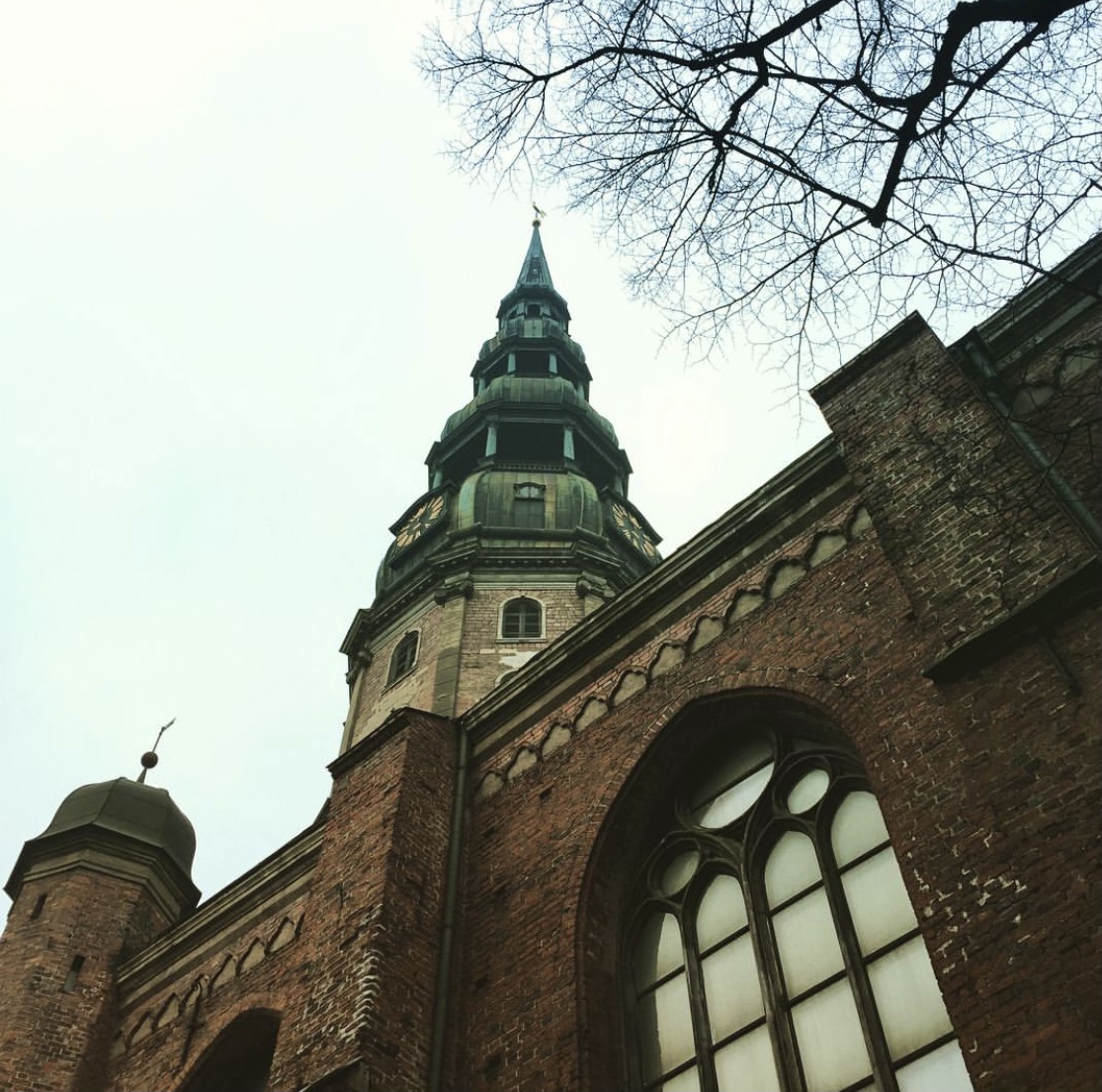 ▲この上に登りました。