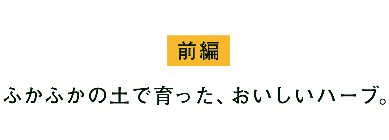 前編 ふかふかの土で育った、おいしいハーブ。