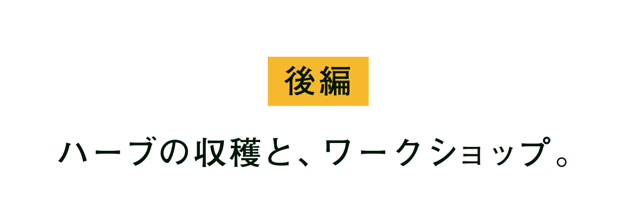 後編 ハーブの収穫と、ワークショップ。