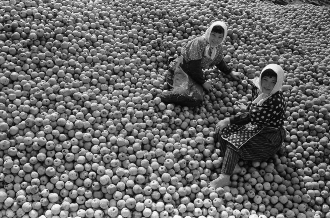 ⓒshoichi_kudo_aomori