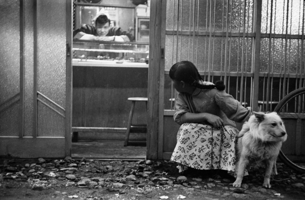 ⓒshoichi_kudo_aomori