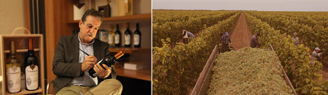 TIMBRUS プロフィール画像