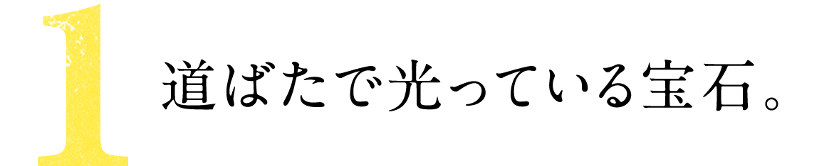 第１回 道ばたで光っている宝石。