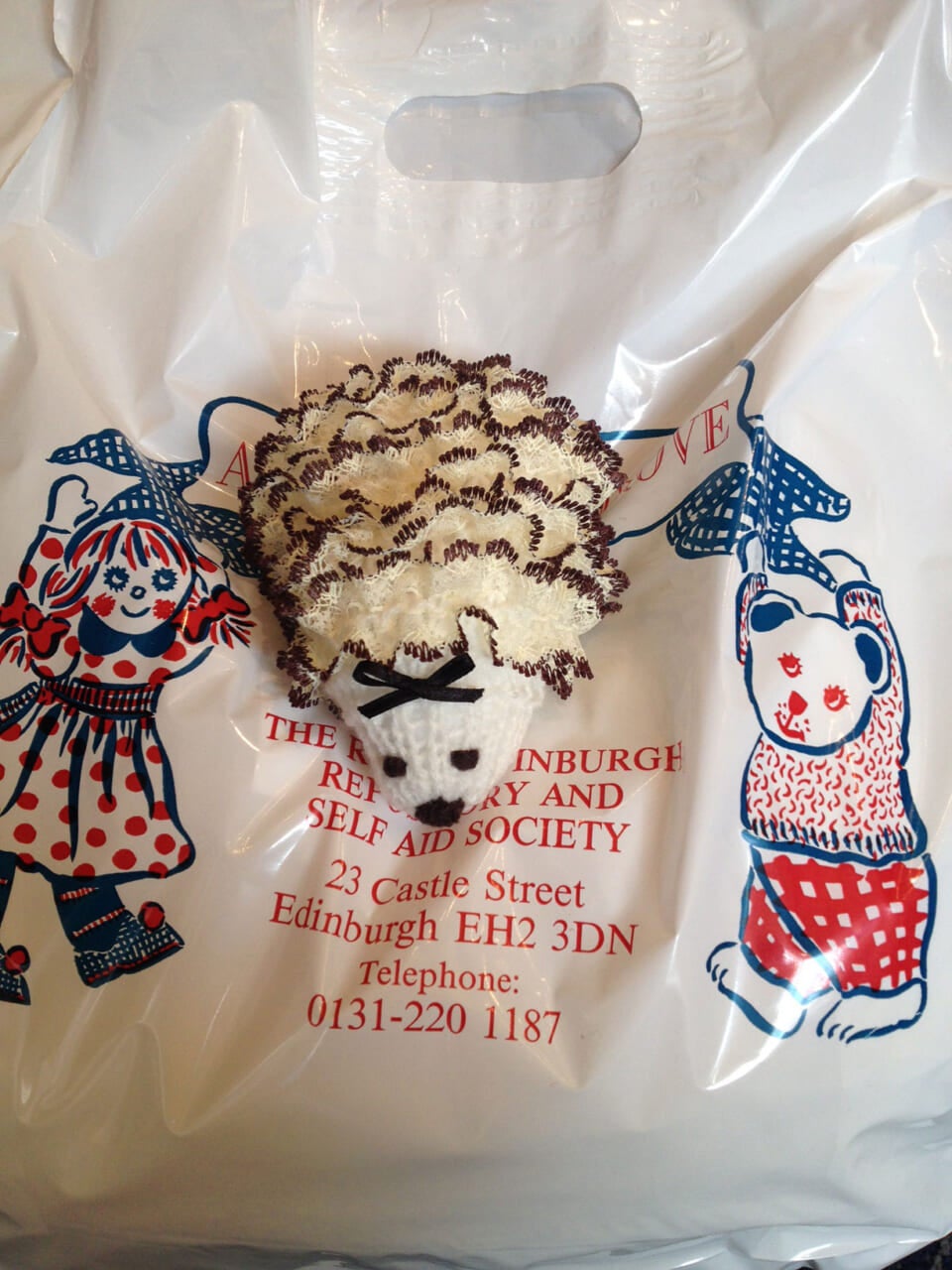 ▲三國さんが持ち帰った「ハリネズミ夫人」。