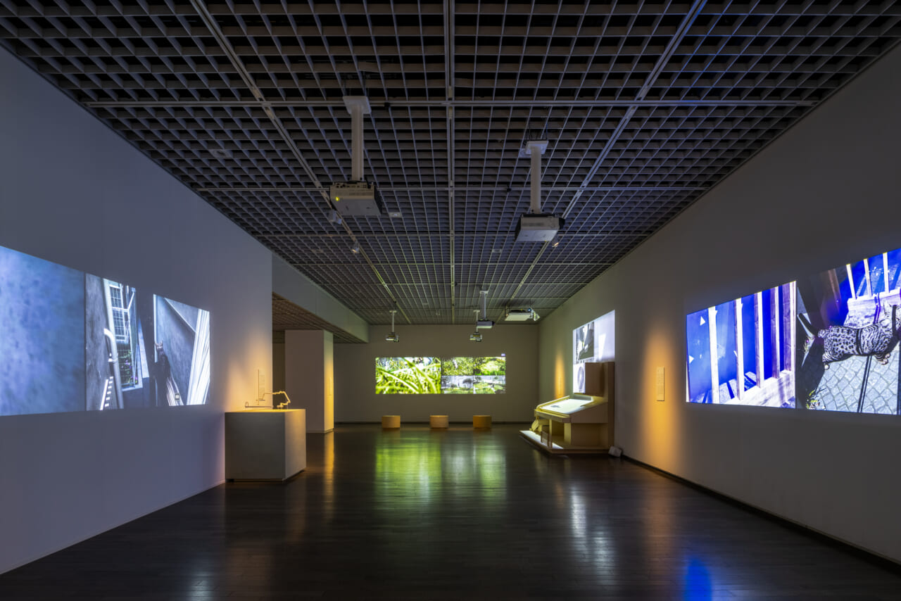 ©Kawasumi・Kobayashi Kenji Photograph Office