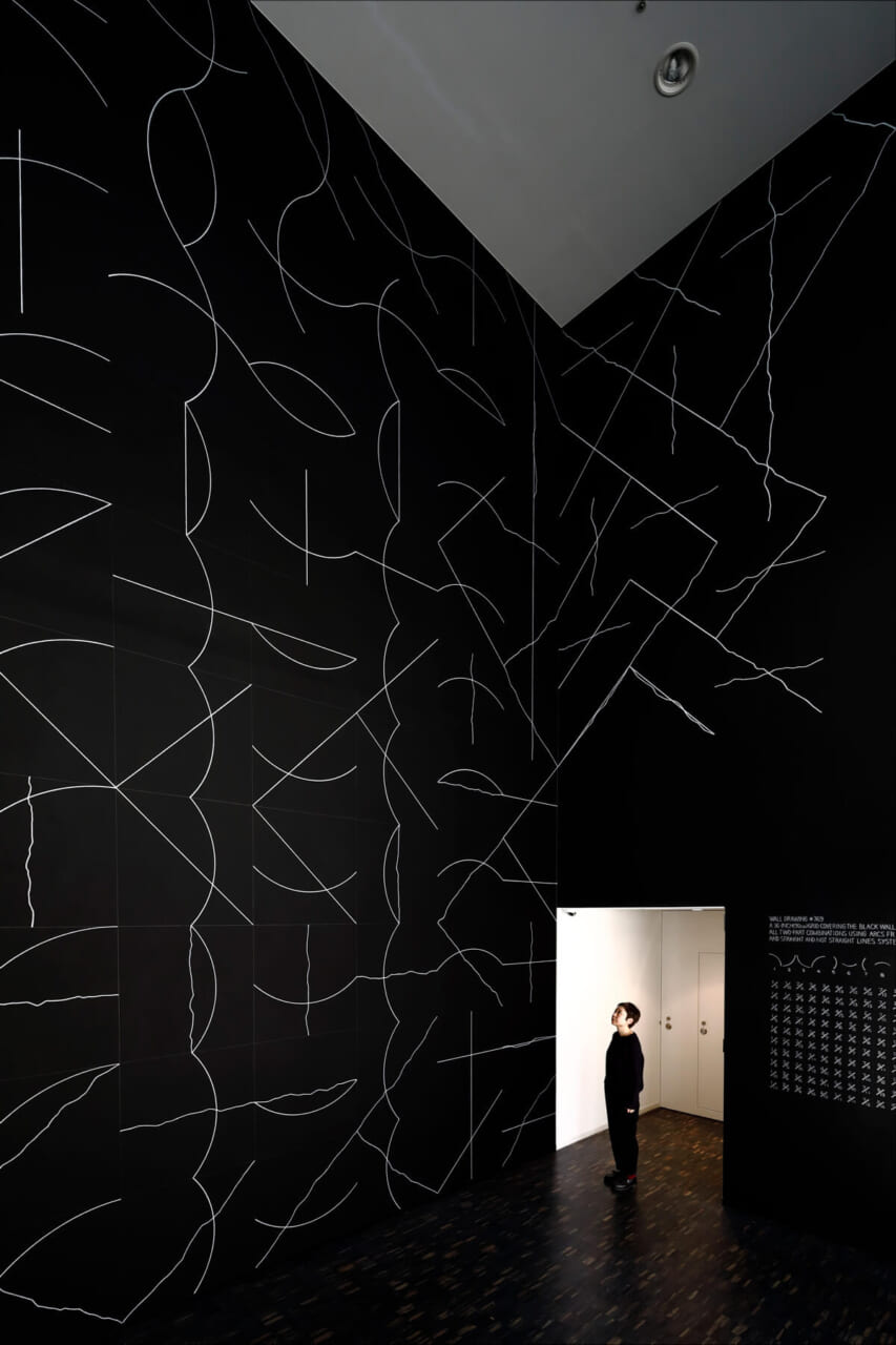 ソル・ルウィット《ウォール・ドローイング#769　黒い壁を覆う幅36インチ（90cm）のグリッド。角や辺から発する円弧、直線、非直線から二種類を体系的に使った組み合わせ全部。》1994年、水溶性パステル、水性塗料、鉛筆・壁

Courtesy the Estate of Sol LeWitt, Massimo De Carlo and TARO NASU Copyright the Estate of Sol LeWitt. 撮影: 木奥恵三