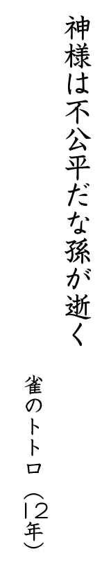 神様は不公平だな孫が逝く 雀のトトロ(12年)