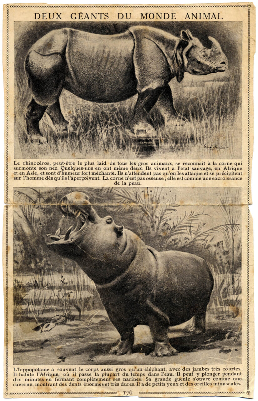 ポンポン旧蔵 雑誌の切り抜き「動物界の二大巨頭」群馬県立館林美術館