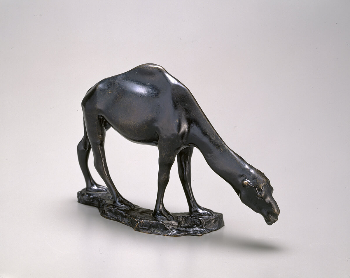 《ラクダ》1906-1930年　群馬県立館林美術館