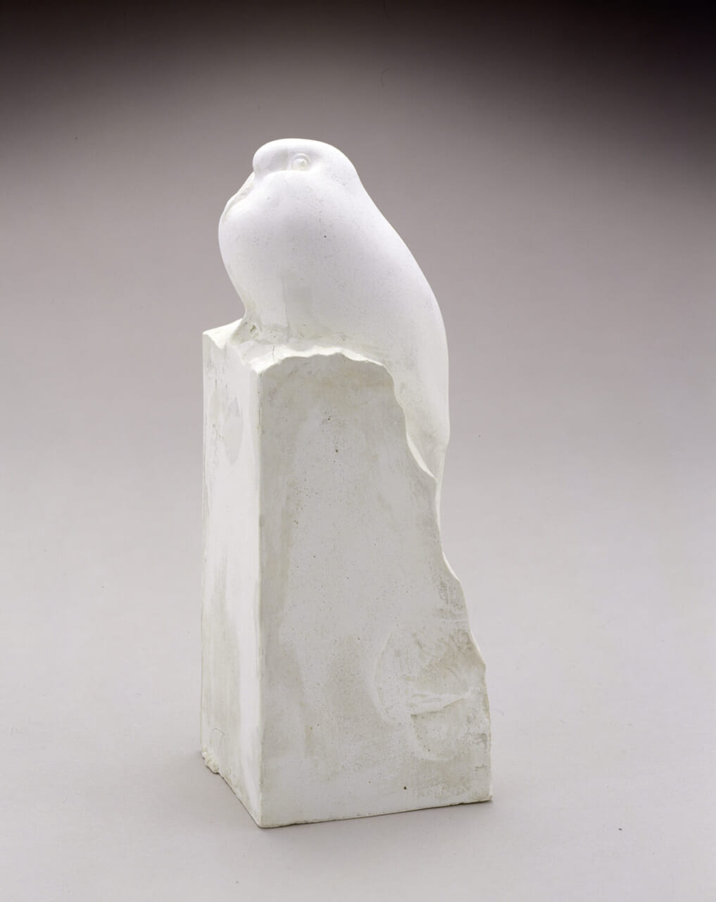 《雉鳩》1919年　群馬県立館林美術館　