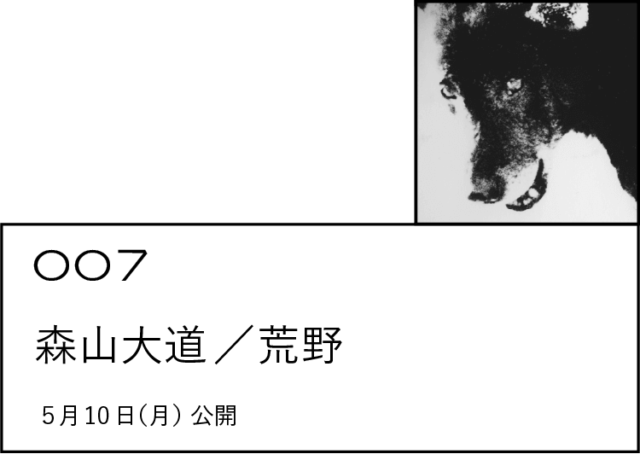 007 森山大道／荒野 